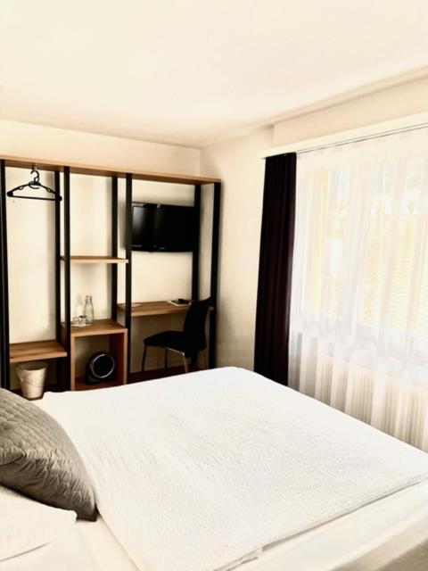 Hotel Europe Brigue Extérieur photo